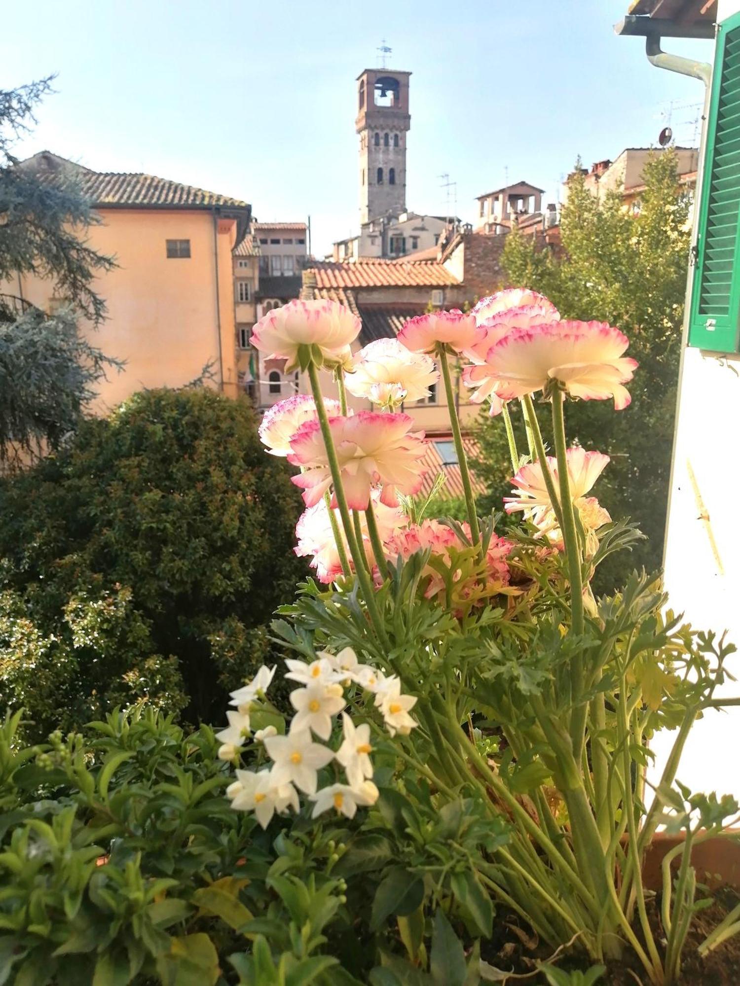 لوكا Bed And Breakfast Evelina المظهر الخارجي الصورة
